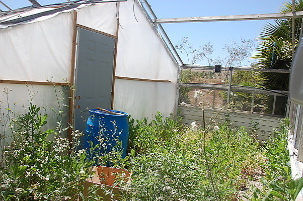 DSC 0215