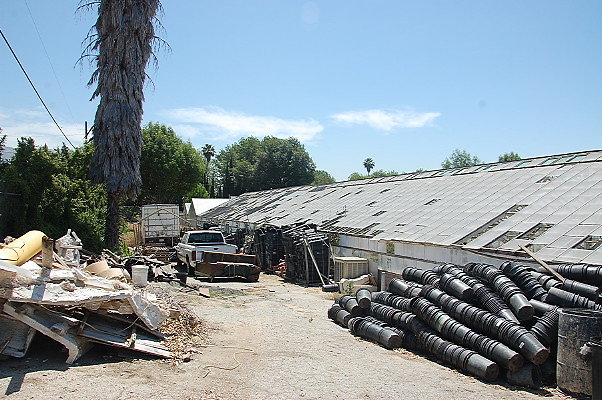 DSC 0173
