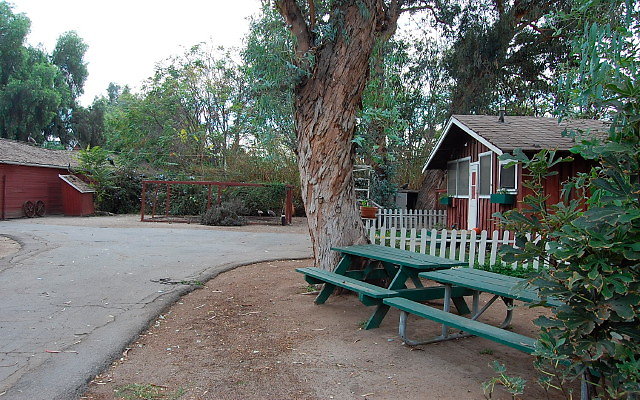 DSC 0069