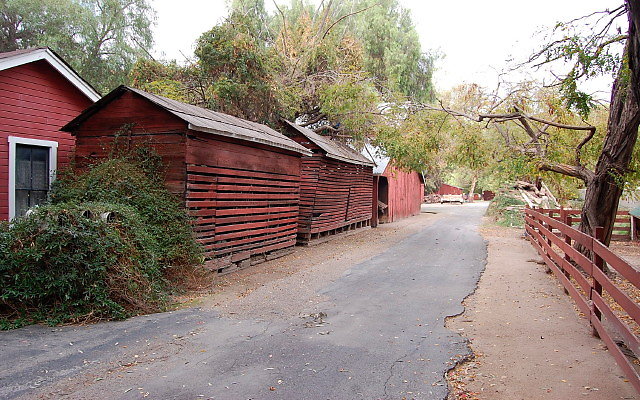 DSC 0094