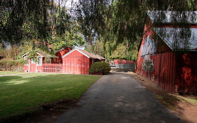 DSC 0092