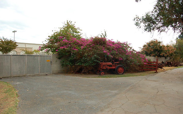 DSC 0037