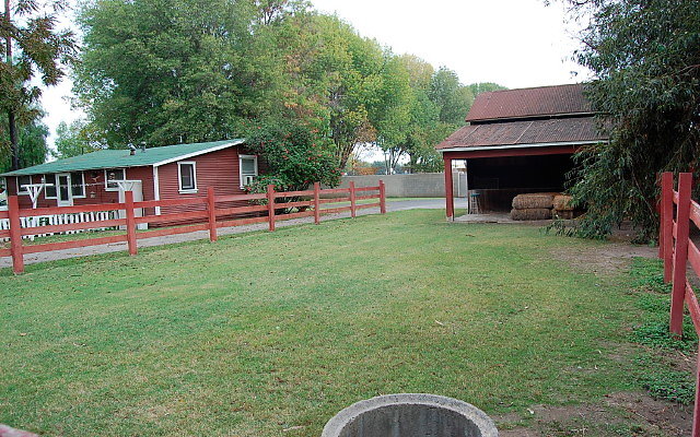 DSC 0071a