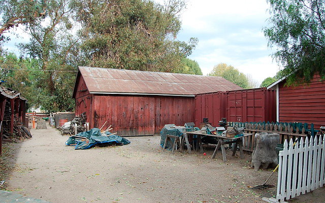 DSC 0059
