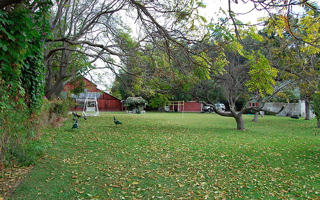 DSC 0077