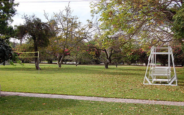 DSC 0091