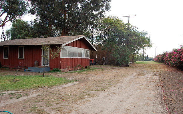 DSC 0074