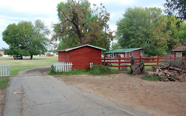 DSC 0053