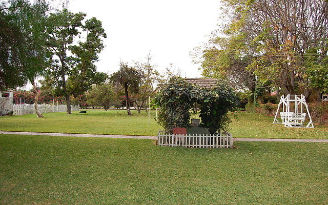 DSC 0021