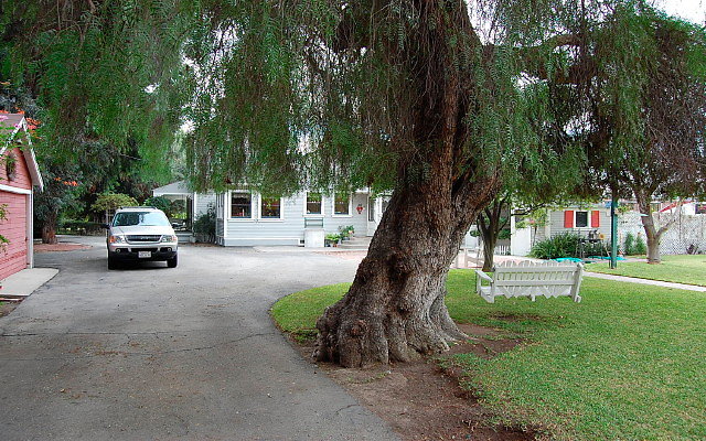 DSC 0020