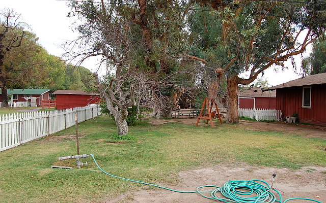 DSC 0073