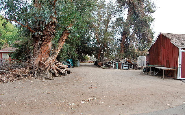 DSC 0054
