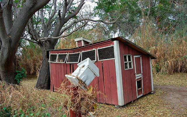 DSC 0082