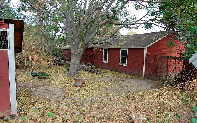 DSC 0080