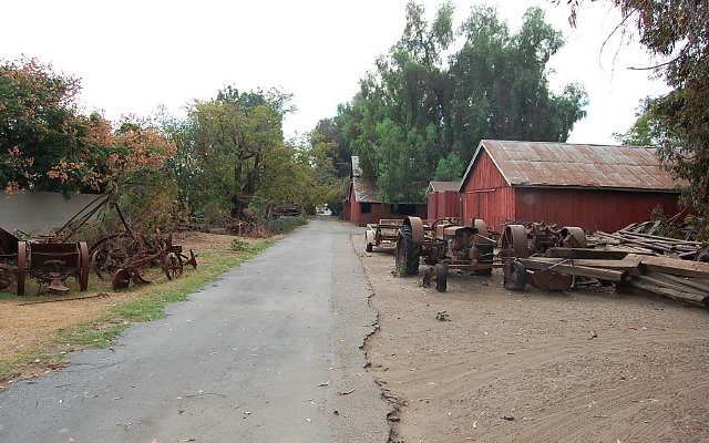 DSC 0061