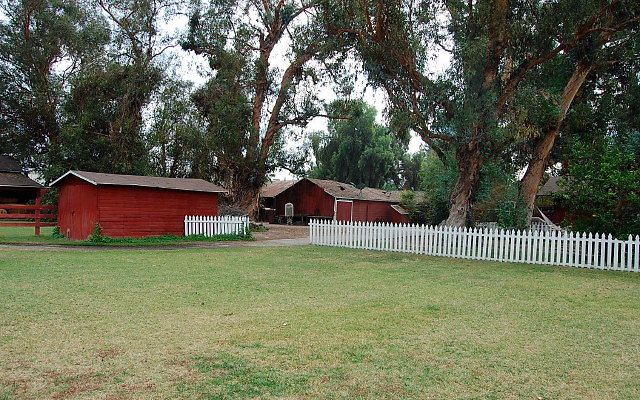 DSC 0051