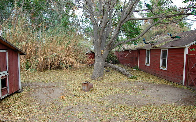 DSC 0081