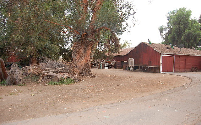 DSC 0068
