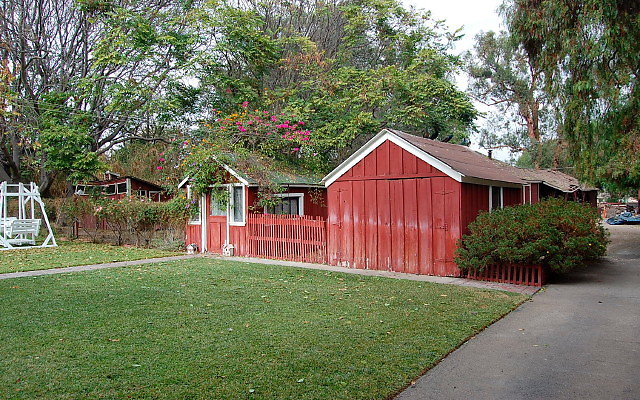 DSC 0022