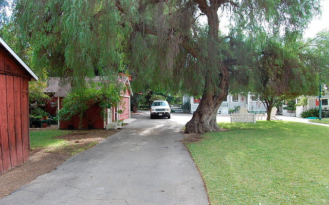 DSC 0087