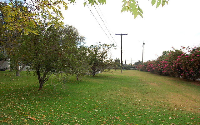 DSC 0078