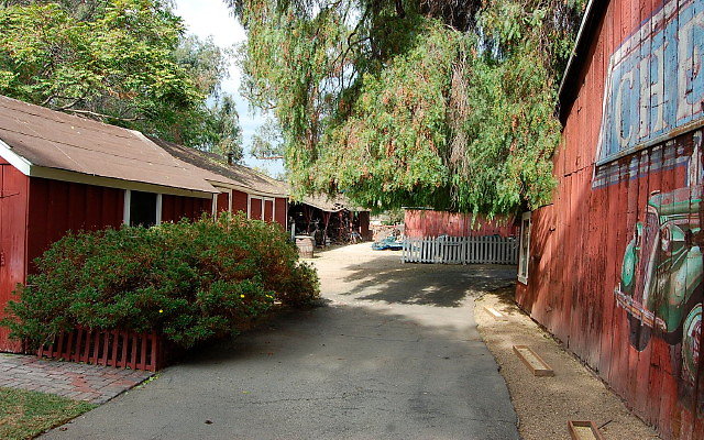 DSC 0086