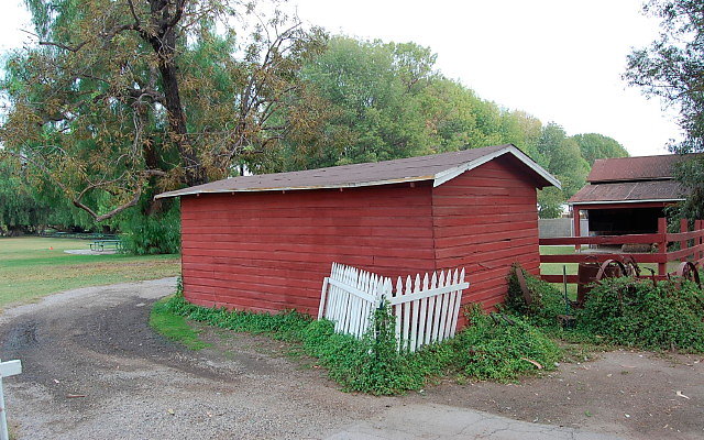 DSC 0067