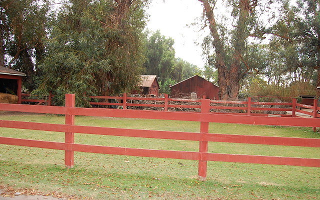DSC 0043