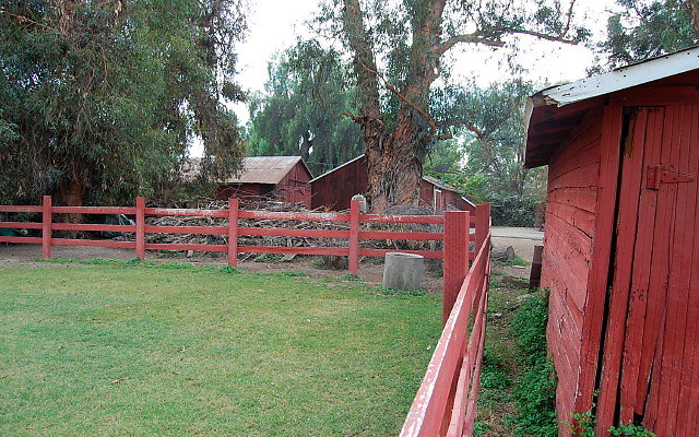 DSC 0071
