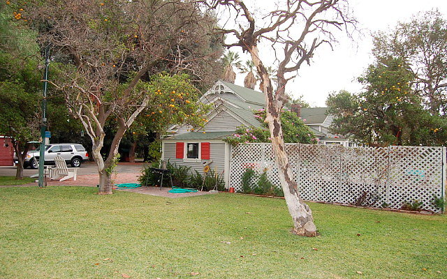 DSC 0015