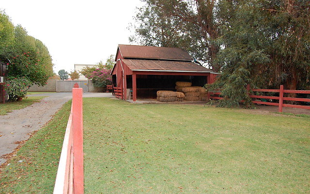 DSC 0070
