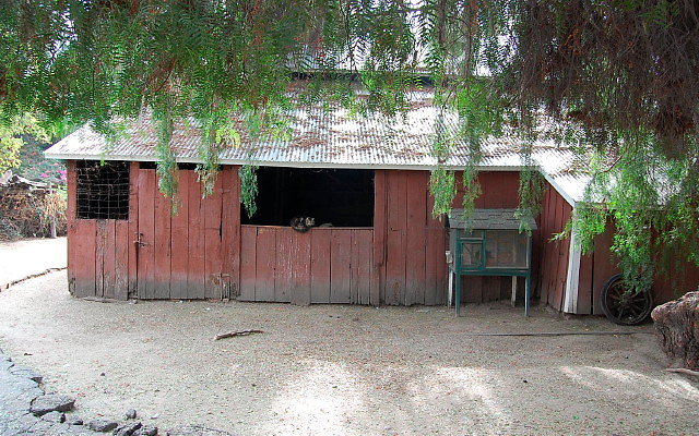 DSC 0030