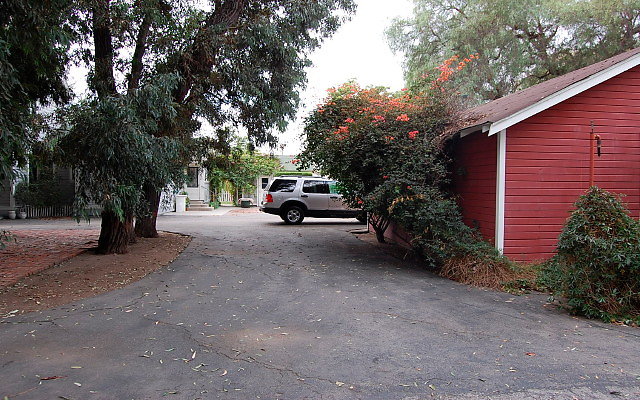 DSC 0093