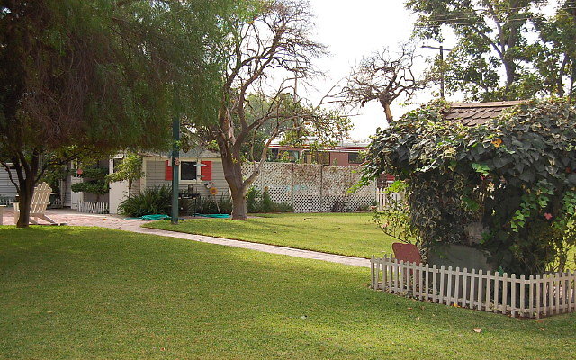 DSC 0090