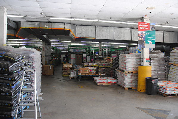 DSC 0601