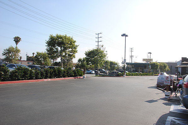 DSC 0469