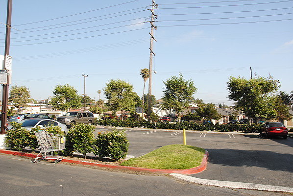 DSC 0561