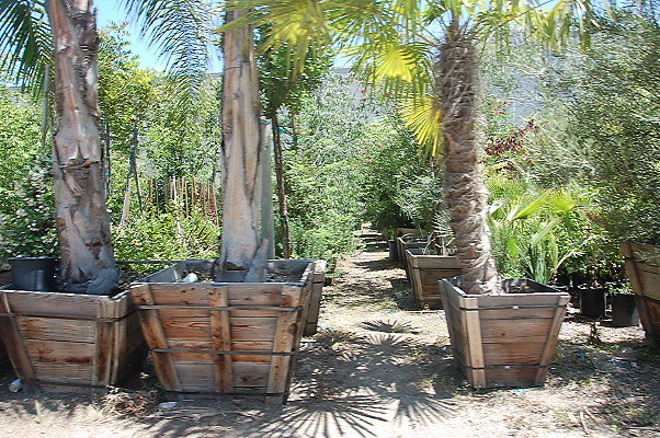 DSC 0259