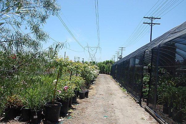 DSC 0272