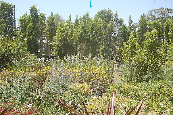 DSC 0299