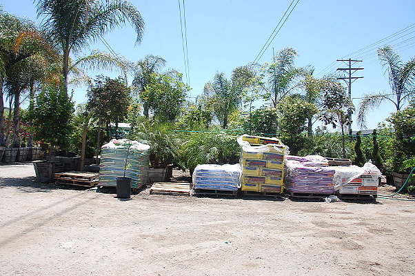DSC 0249