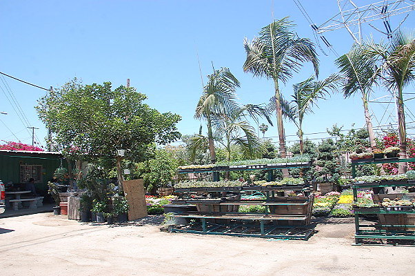 DSC 0246