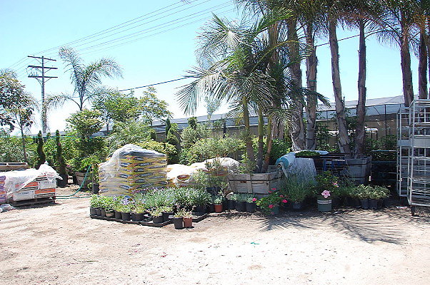 DSC 0250
