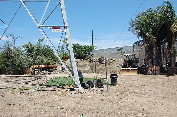 DSC 0271