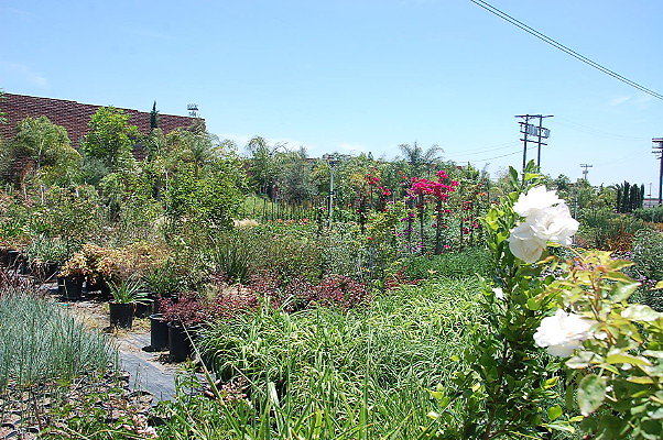 DSC 0276