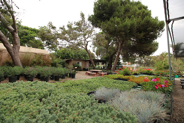 Pacific.View.Nursery.Malibu.24