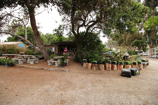 Pacific.View.Nursery.Malibu.26