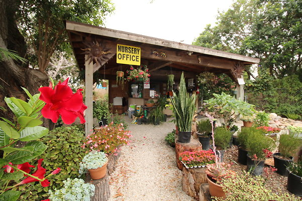 Pacific.View.Nursery.Malibu.28