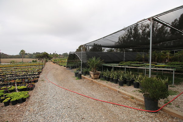 Pacific.View.Nursery.Malibu.32
