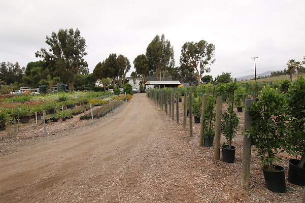 Pacific.View.Nursery.Malibu.41